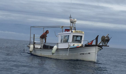 pescaturismomallorca.com excursiones en barco en Mallorca con Enginyer